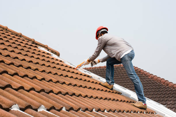 Best Rubber Roofing (EPDM, TPO)  in Carnegie, PA